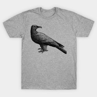 Vintage Bird Illustration Art T-Shirt